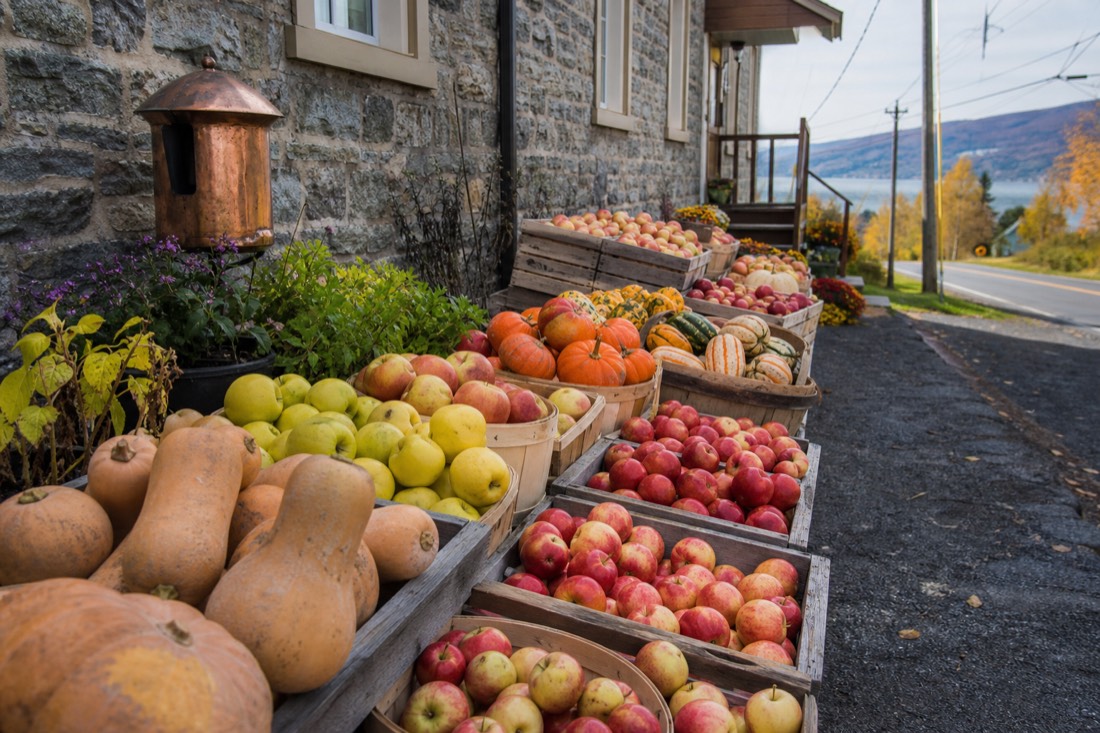 Autumn farm stand on Île d'Orléans piled with apples and squash near Quebec City