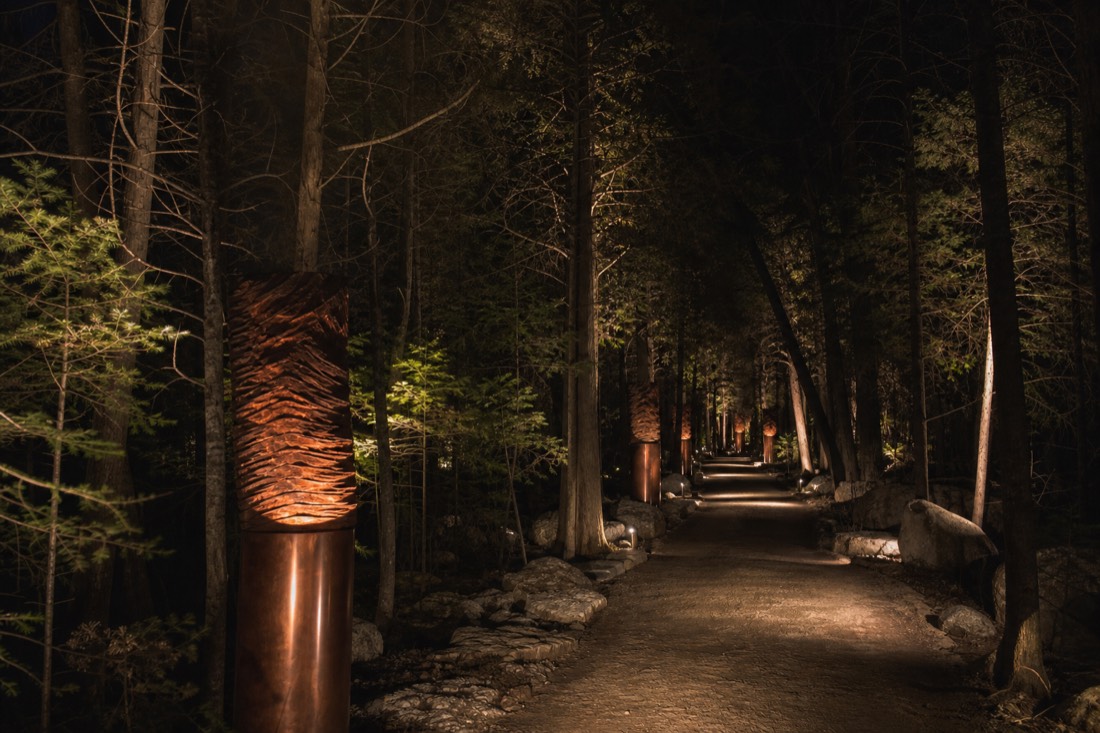 Illuminated night trail through trees on the Onhwa Lumina multimedia walk in Wendake